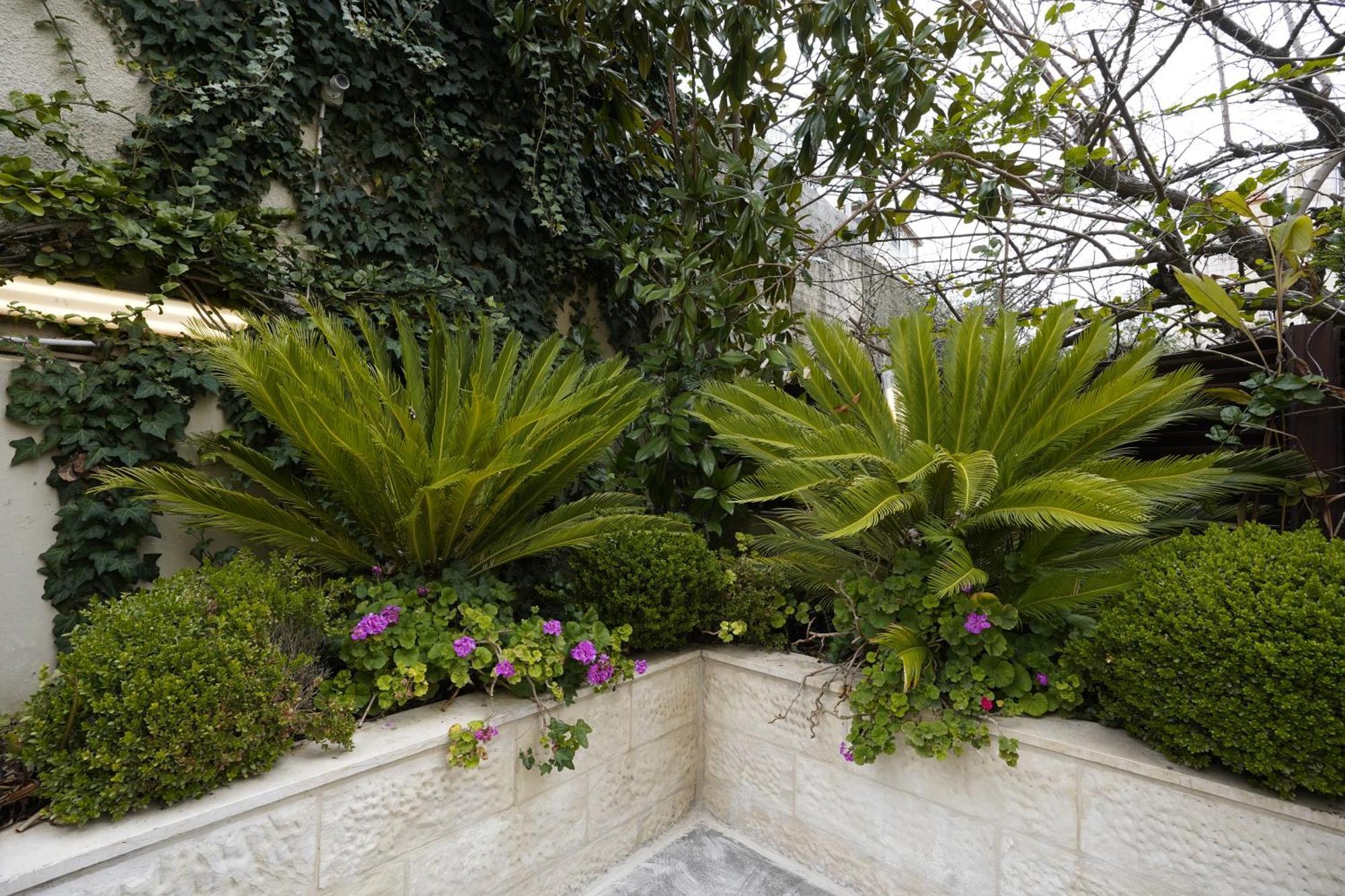 Naylover Hotel Suites Amman Luaran gambar